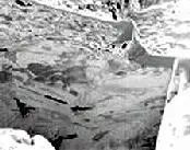 NMI Reutlingen onderzoekt slijtgevoelige oppervlakken featured image