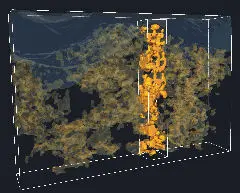 Nieuw inzicht in polymeer zonnecellen featured image