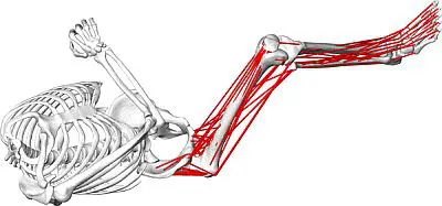 Robot en simulatie optimaliseren kunstgewrichten featured image