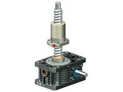 Kogelomloopspindel featured image