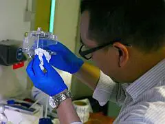 Meer waterstof uit zonlicht featured image