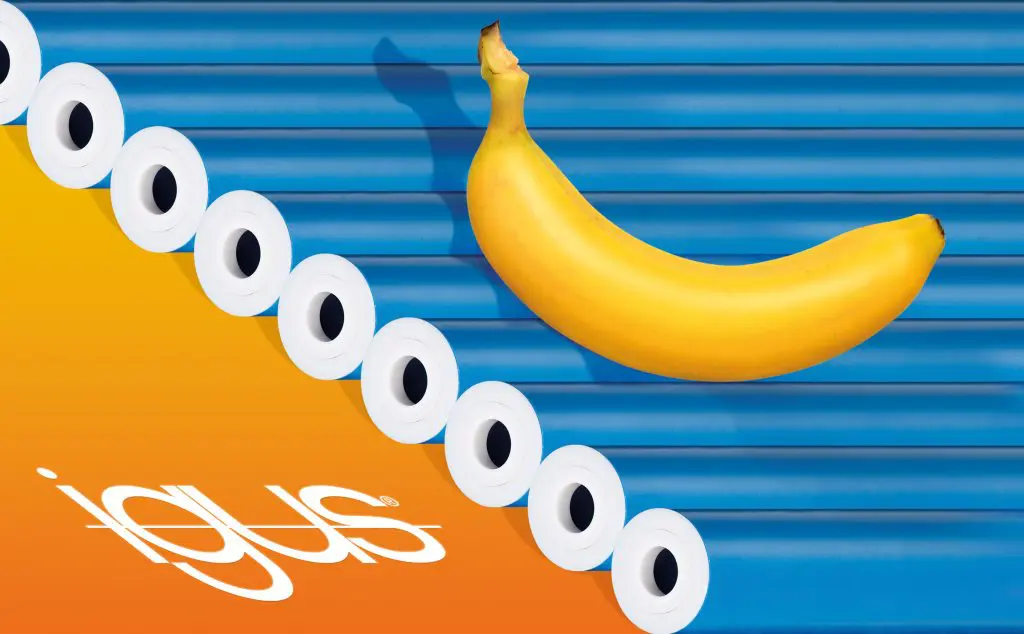 Lichte, voedselveilige xiros geleiderollers van Igus featured image