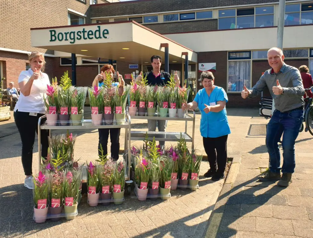 SigmaControl steunt sierteeltsector en doneert Bromelia’s aan zorgcentrum featured image