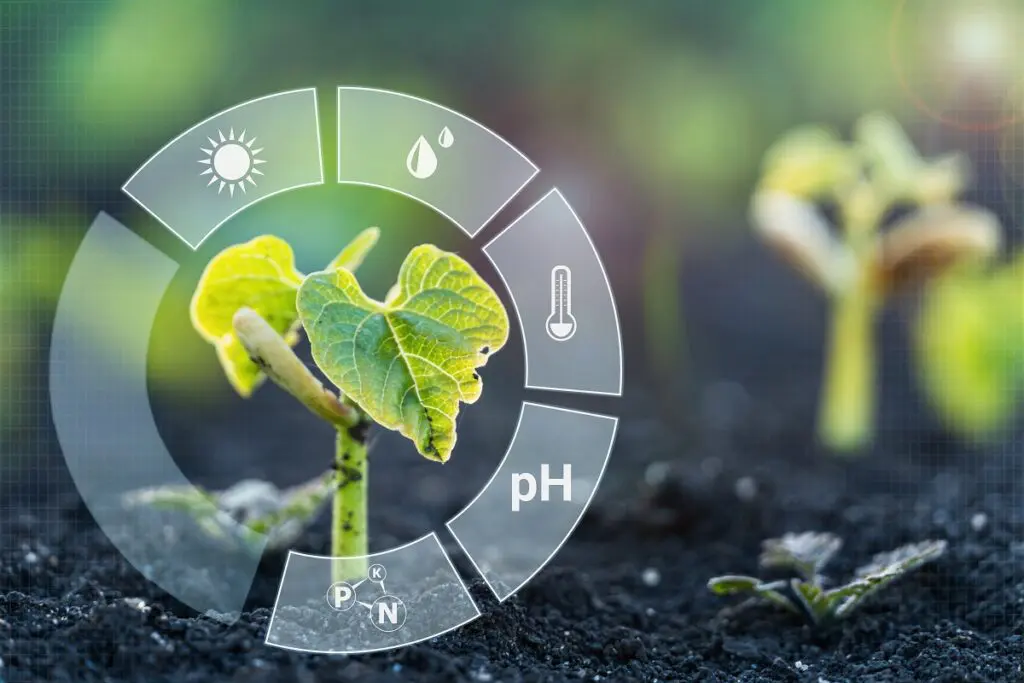 Biologisch afbreekbare IoT-sensoren voor de plantenteelt featured image