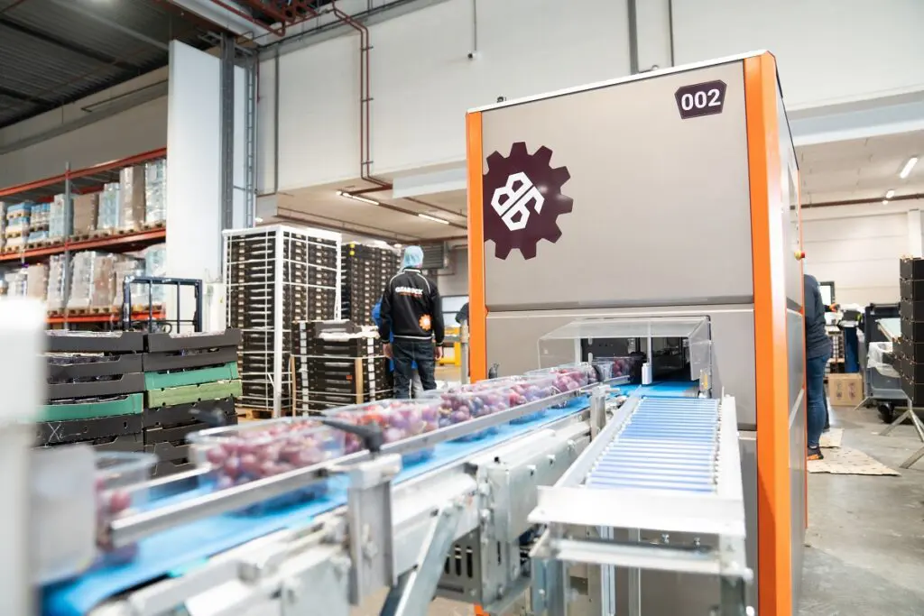 Druivencontrole versneld door vision, AI en Simplified Motion Series  featured image