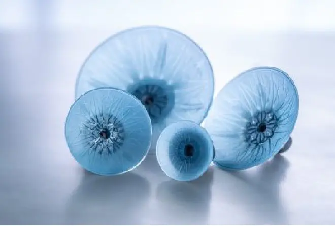 COVAL introduceert krachtige klokvormige zuignappen voor plaatwerk featured image