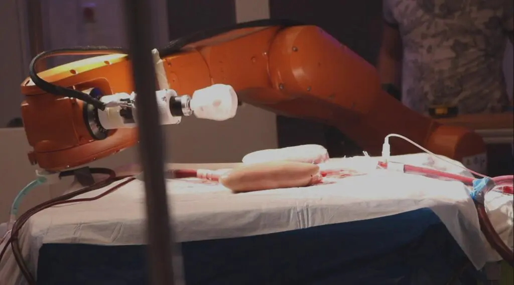Millirobots TU Twente in bloedbaan