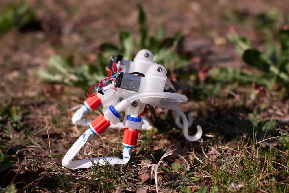 breinloze robot