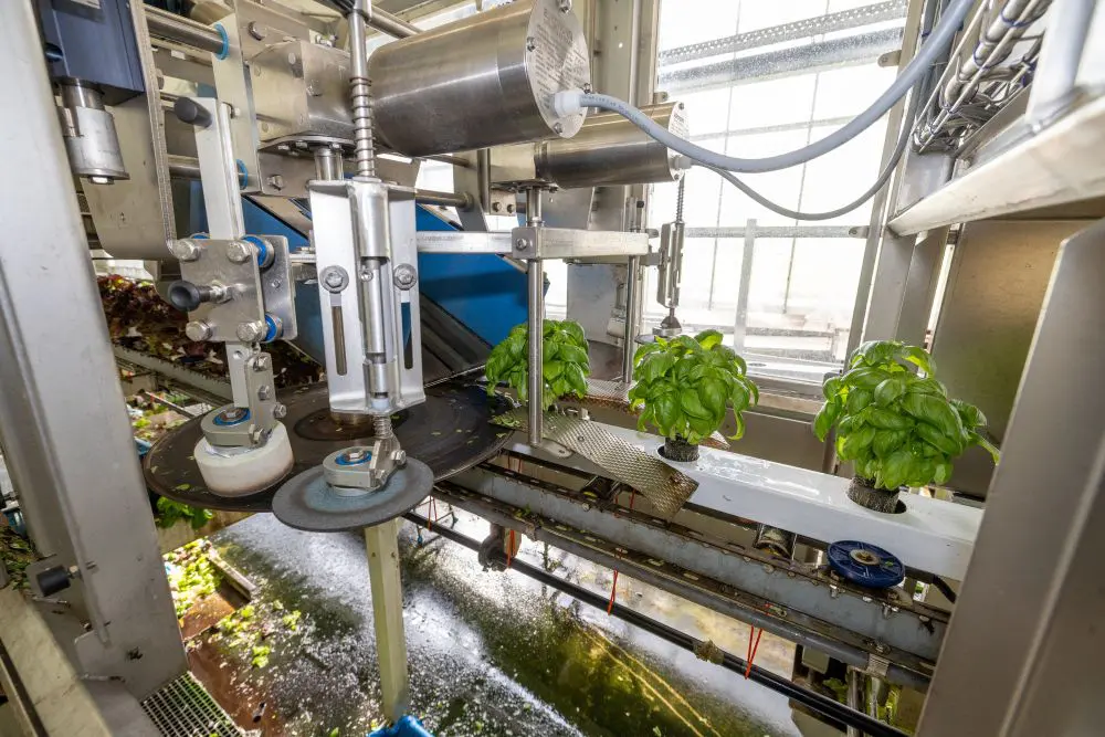 Slimme aandrijving stuurt groeiproces van zaad tot sla en basilicum featured image